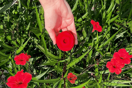 How to Use Rose Toys?