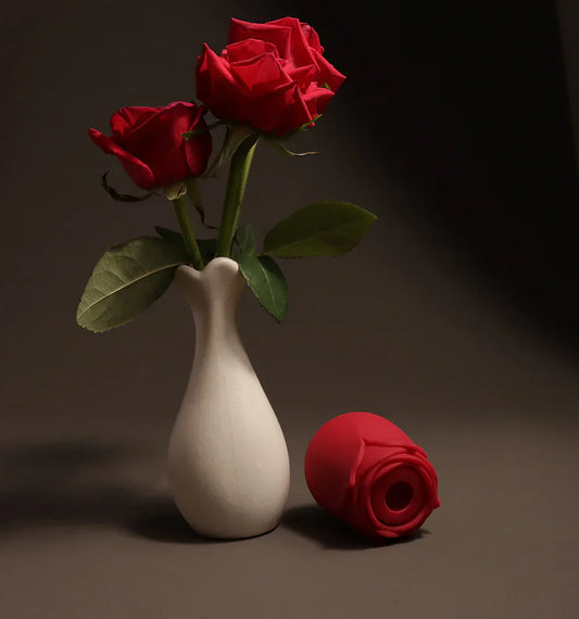 rose toy cleaning guide